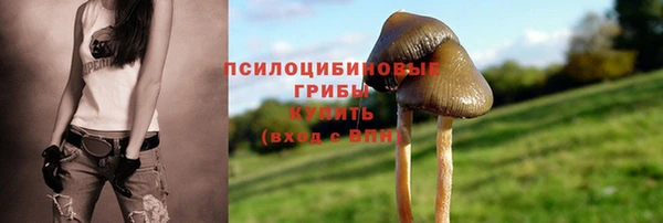 марки nbome Гусев