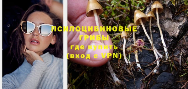 бошки Гусь-Хрустальный