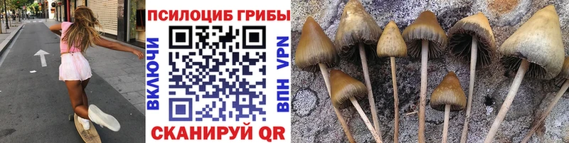 Галлюциногенные грибы мухоморы  Купить где  Рудня 